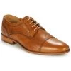 Chaussures Homme Derbies André LIVING Marron