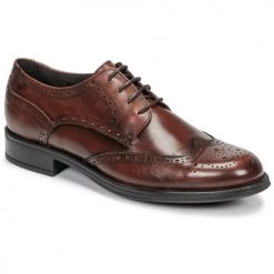 Chaussures Homme Derbies Carlington LOUVIAN Marron