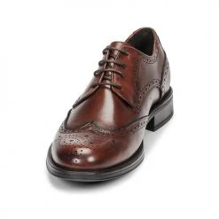Chaussures Homme Derbies Carlington LOUVIAN Marron -Derbies Soldes Boutique 15668489 500 C