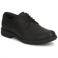 Chaussures Homme Derbies Timberland EK STORMBUCK PLAIN TOE OXFORD Noir