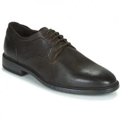 Chaussures Homme Derbies Geox TERENCE Marron