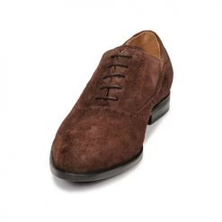 Chaussures Homme Richelieu Pellet ALEX Marron -Derbies Soldes Boutique 19358767 500 C