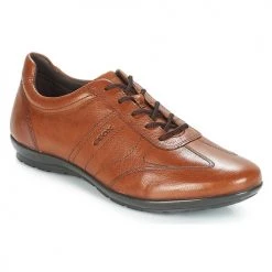 Chaussures Homme Derbies Geox UOMO SYMBOL Marron
