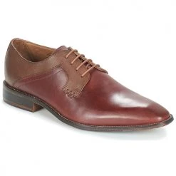 Chaussures Homme Derbies André CRYO Marron